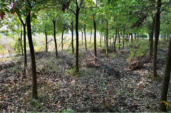 ���Ϸ���վ���¼��g�a�I�_�l�^**���B�����lչ���޹�˾�����ټ��w�����ϵķ��ݡ��C���O�估��������Y�a�Ј��rֵ�u�����Ŀ����