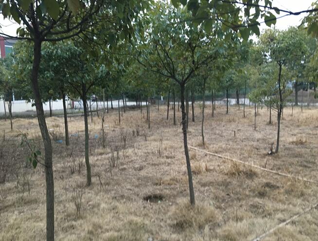 **���޹�˾���е�λ�ڮ�Ϳ�h**�(zh��n)���I(y��)�@���ڹ��I(y��)�õء����a(ch��n)���������C���a(ch��n)���o�C���a(ch��n)�����������ľ���k����Ʒ���O(sh��)�估ģ���Ј��rֵ�u��