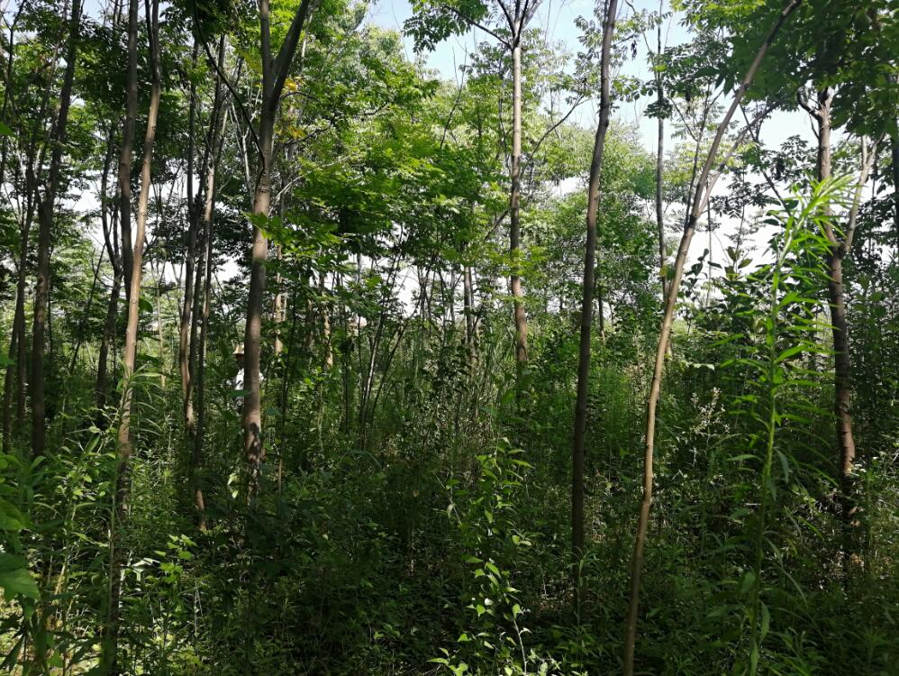 �Ϸ���**�@�ֹ������޹�˾λ�ںϷ�**�_�l(f��)�^(q��)**��^(q��)**��248.265�������ϵ���ľ�Ј��r���u��